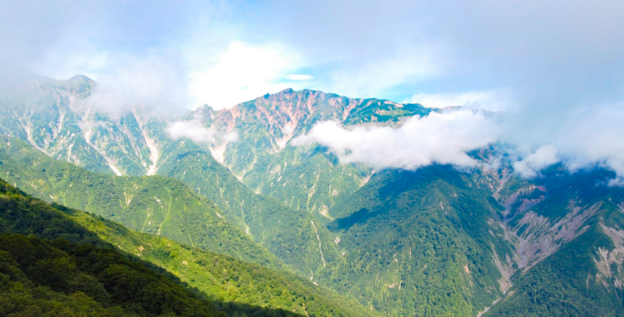 高山植物園スライド